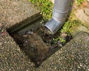 Professional plumber inspecting a drain system in Westchester County.